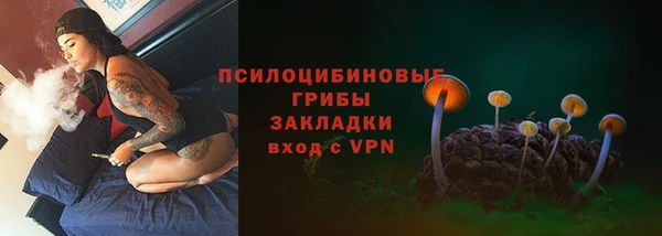 эйфоретик Заволжье