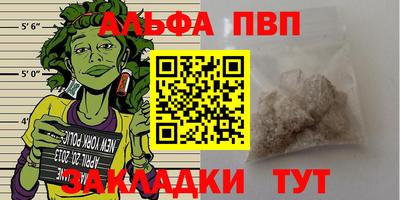 прущие крисы Тара