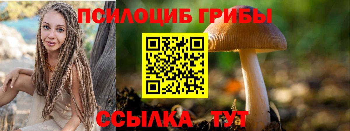 Южно-Сахалинск  как найти закладки  Вход с VPN  Галлюциногенные грибы мицелий 